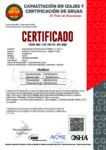 CICG-MX-132-05-01-25-EQP - Image 2