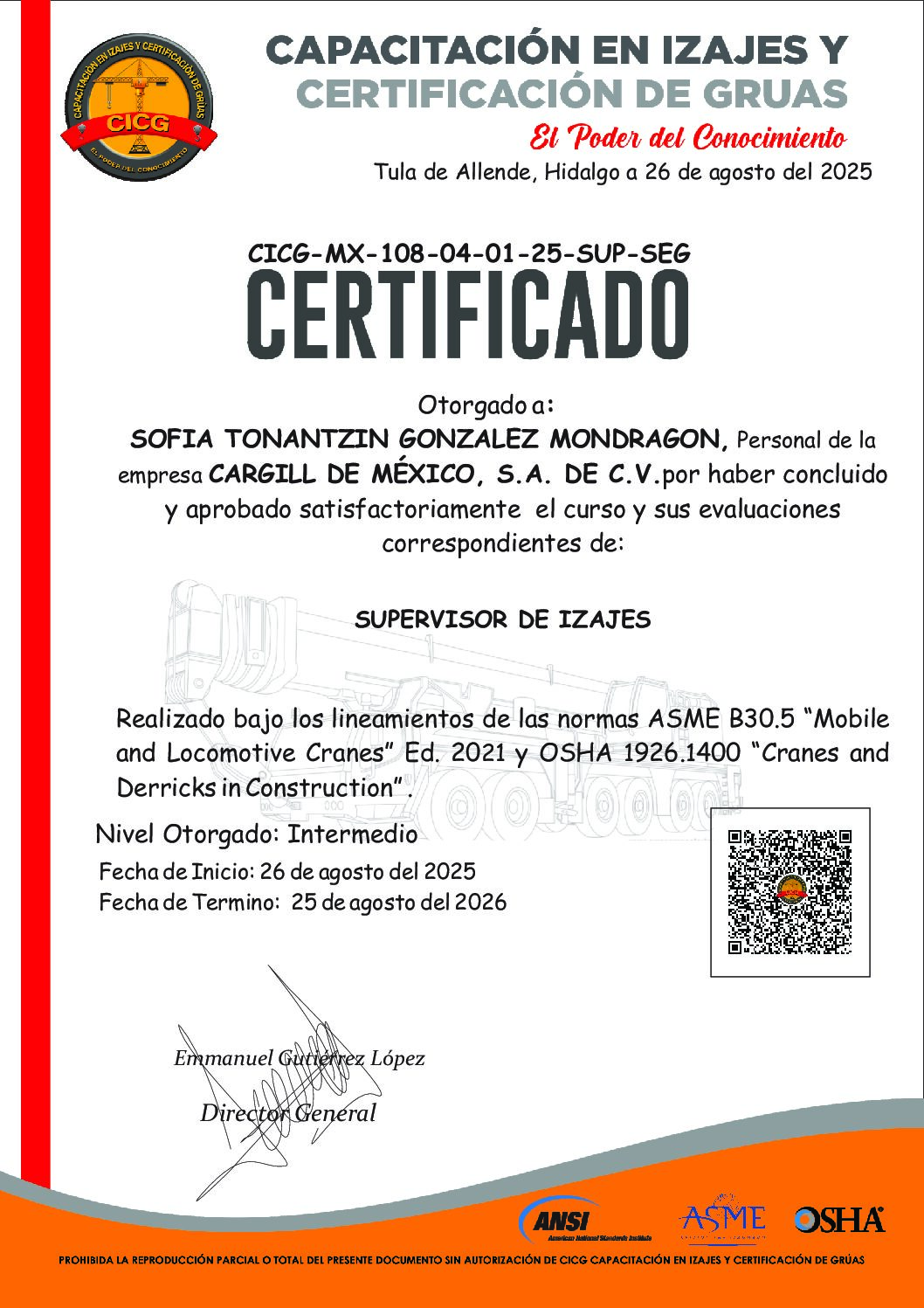 CICG-MX-108-04-01-25-SUP-SEG