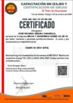 CICG-MX-260-10-25-RG-GM - Image 2