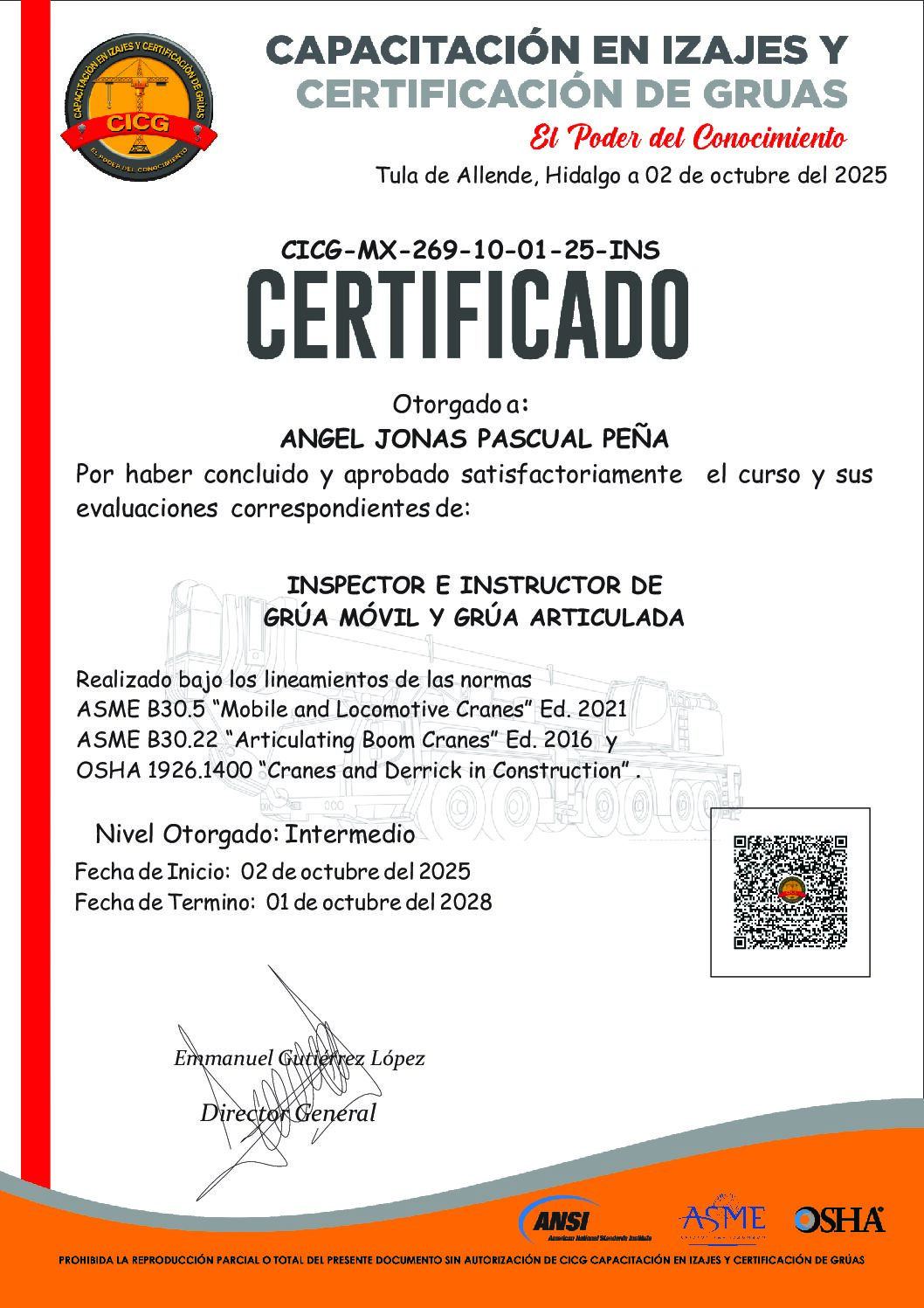 CICG-MX-269-10-01-25-INS