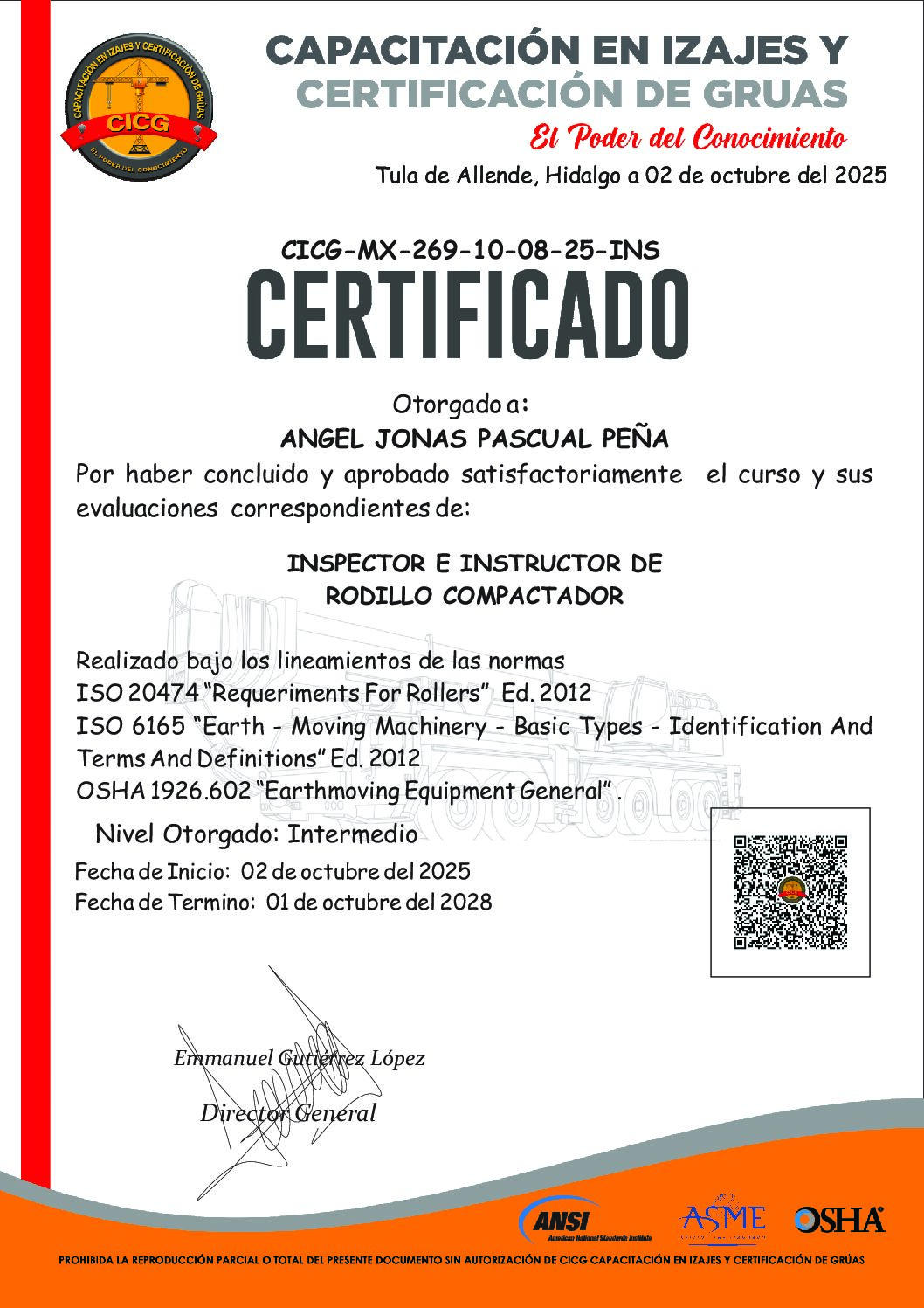 CICG-MX-269-10-08-25-INS